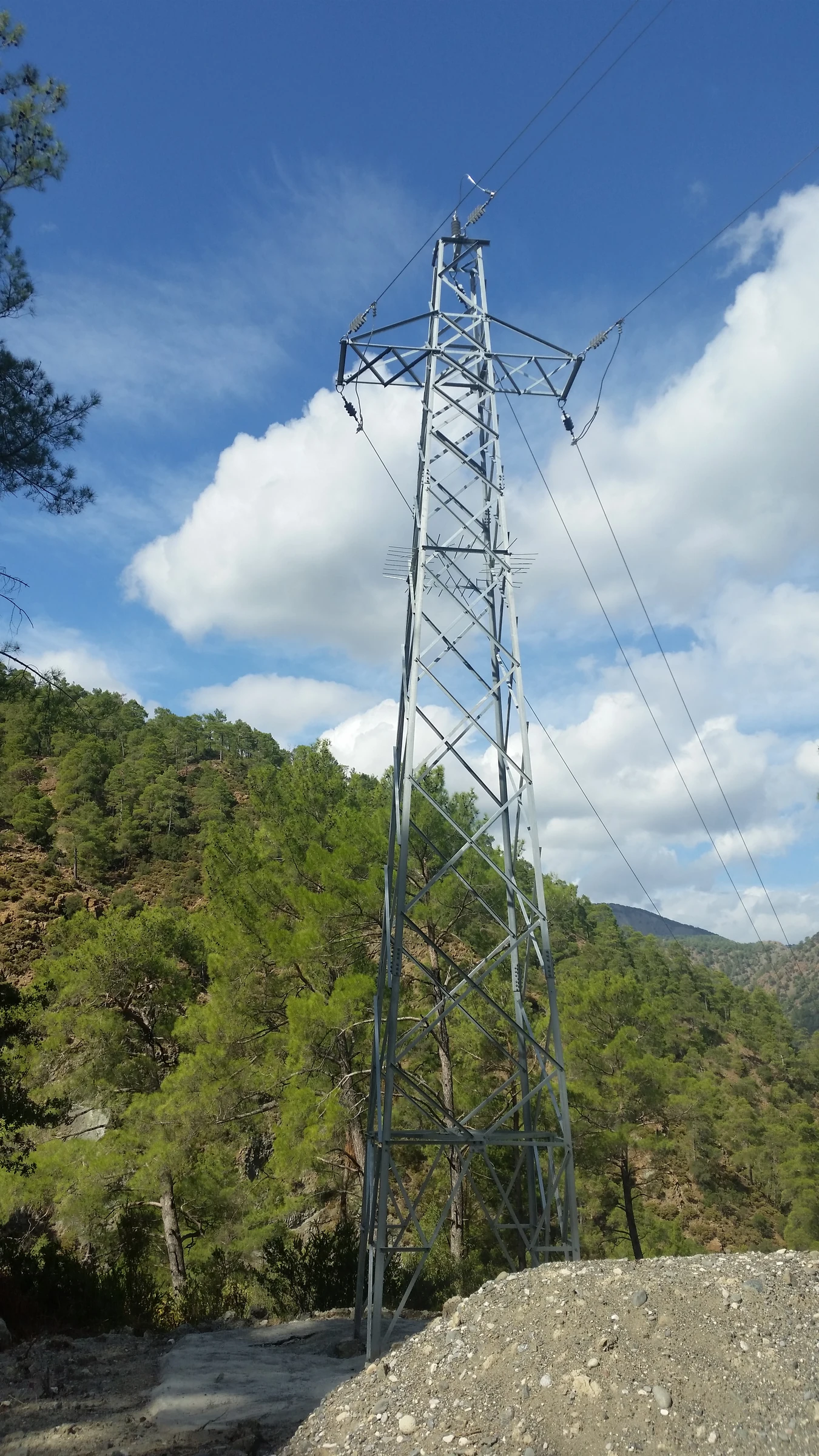 Power line in forest terrain from the company archive